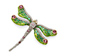 Dragonfly clip :: © 2009